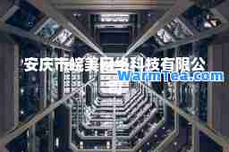 安庆市皖美网络科技有限公司