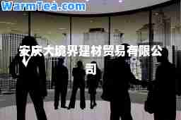 安庆大境界建材贸易有限公司