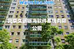 北京久远银海软件系统有限公司