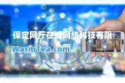 保定网厅在线网络科技有限公司 保定网厅在线网络科技有限公司