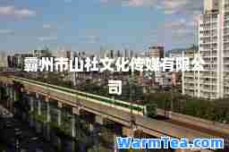 霸州市山社文化传媒有限公司