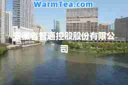 安徽省智通控股股份有限公司