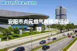 安阳市贞元燃气有限责任公司