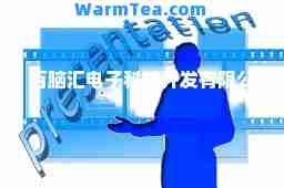 百脑汇电子科技开发有限公司