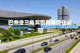 巴州金三角宾馆有限责任公司 巴州金三角宾馆有限责任公司