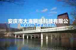安庆市大海网络科技有限公司 安庆市大海网络科技有限公司