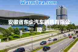 安徽省东少汽车销售有限公司