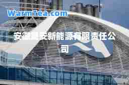 安徽晟安新能源有限责任公司