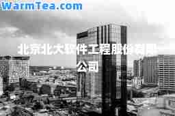 北京北大软件工程股份有限公司