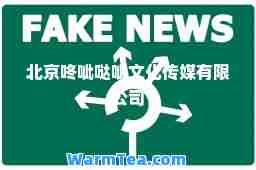 北京咚呲哒呲文化传媒有限公司