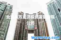 北京东方龙济投资发展有限公司