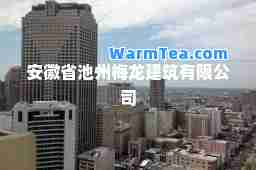 安徽省池州梅龙建筑有限公司