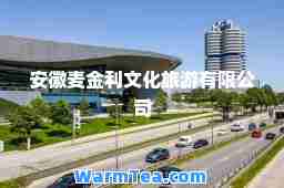 安徽麦金利文化旅游有限公司