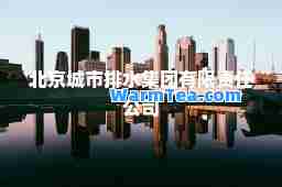 北京城市排水集团有限责任公司 北京城市排水集团有限责任公司