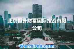 北京恒升财富投资有限公司