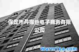 保定市丹娜丝电子商务有限公司