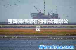 宝鸡海伟德石油机械有限公司