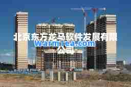 北京东方龙马软件发展有限公司