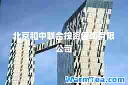 北京和中联投资咨询有限公司