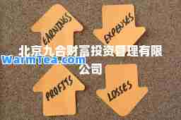 北京九财富投资管理有限公司