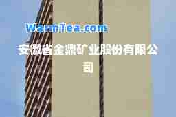 安徽省金鼎矿业股份有限公司