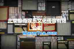 北京惊奇娱乐文化传媒有限公司