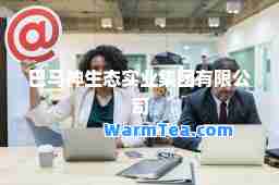 巴马生态实业集团有限公司