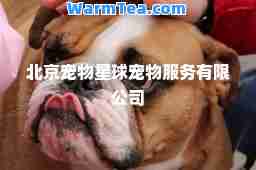 北京宠物星球宠物服务有限公司
