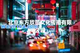 北京东方欣蕾文化传播有限公司