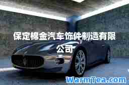 保定棉金汽车饰件制造有限公司