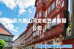 北京大美山河文化艺术有限公司