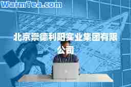 北京崇德利阳实业集团有限公司