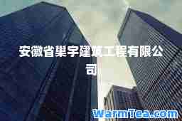 安徽省巢宇建筑工程有限公司