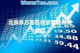 北京东方雷石投资管理有限公司