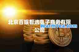 北京百娱智选电子商务有限公司