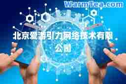 北京爱游引力网络技术有限公司
