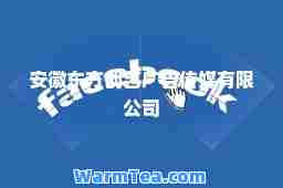 安徽东方创艺广告传媒有限公司