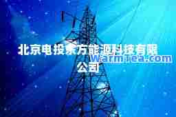 北京电投东方能源科技有限公司