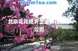 北京花花视界企业管理有限公司