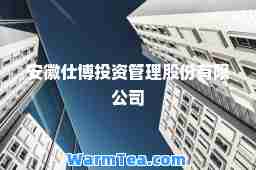 安徽仕博投资管理股份有限公司