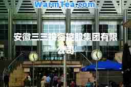 安徽三三投资控股集团有限公司