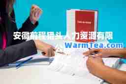 安徽前程猎头人力资源有限公司