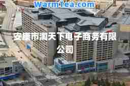 安康市淘天下电子商务有限公司