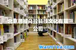 北京芭拉乌拉科技文化有限公司