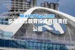 安徽大江教育投资有限责任公司