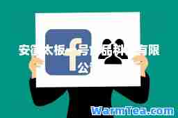 安徽太板一号食品科技有限公司