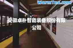 安徽卓朴智能装备股份有限公司