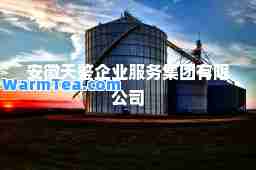 安徽天鉴企业服务集团有限公司