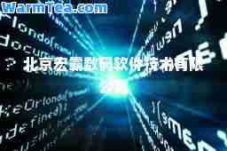 北京宏霸数码软件技术有限公司