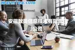 安徽数美信息技术有限责任公司